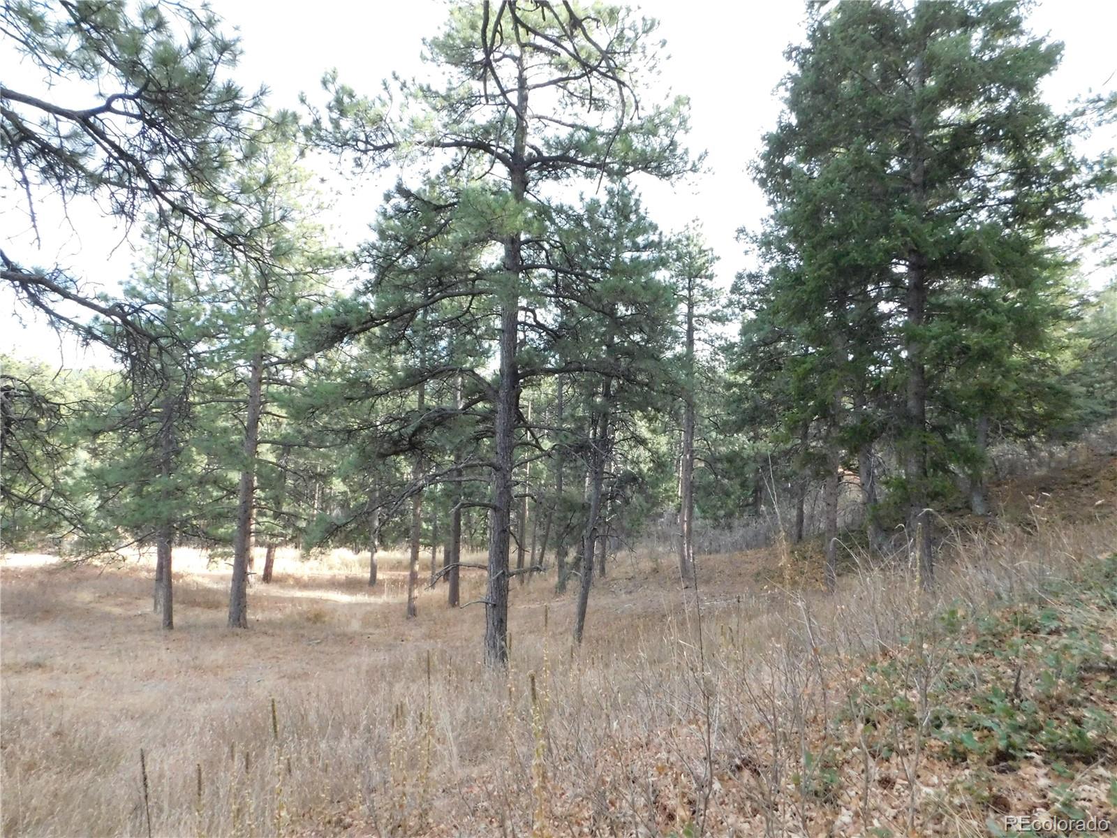 8055 Acoma Drive Larkspur CO 80118