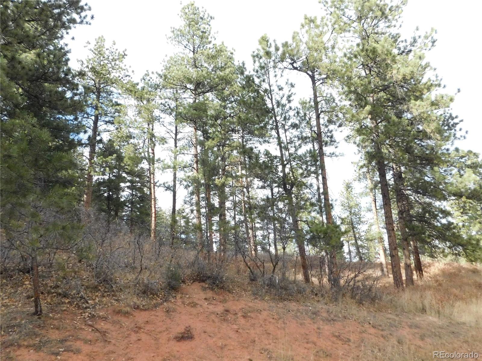 8055 Acoma Drive Larkspur CO 80118