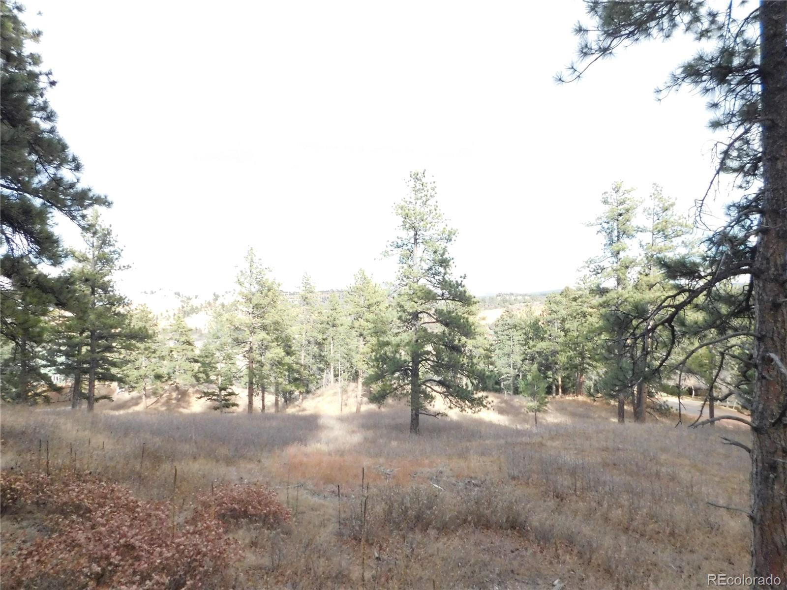 8055 Acoma Drive Larkspur CO 80118