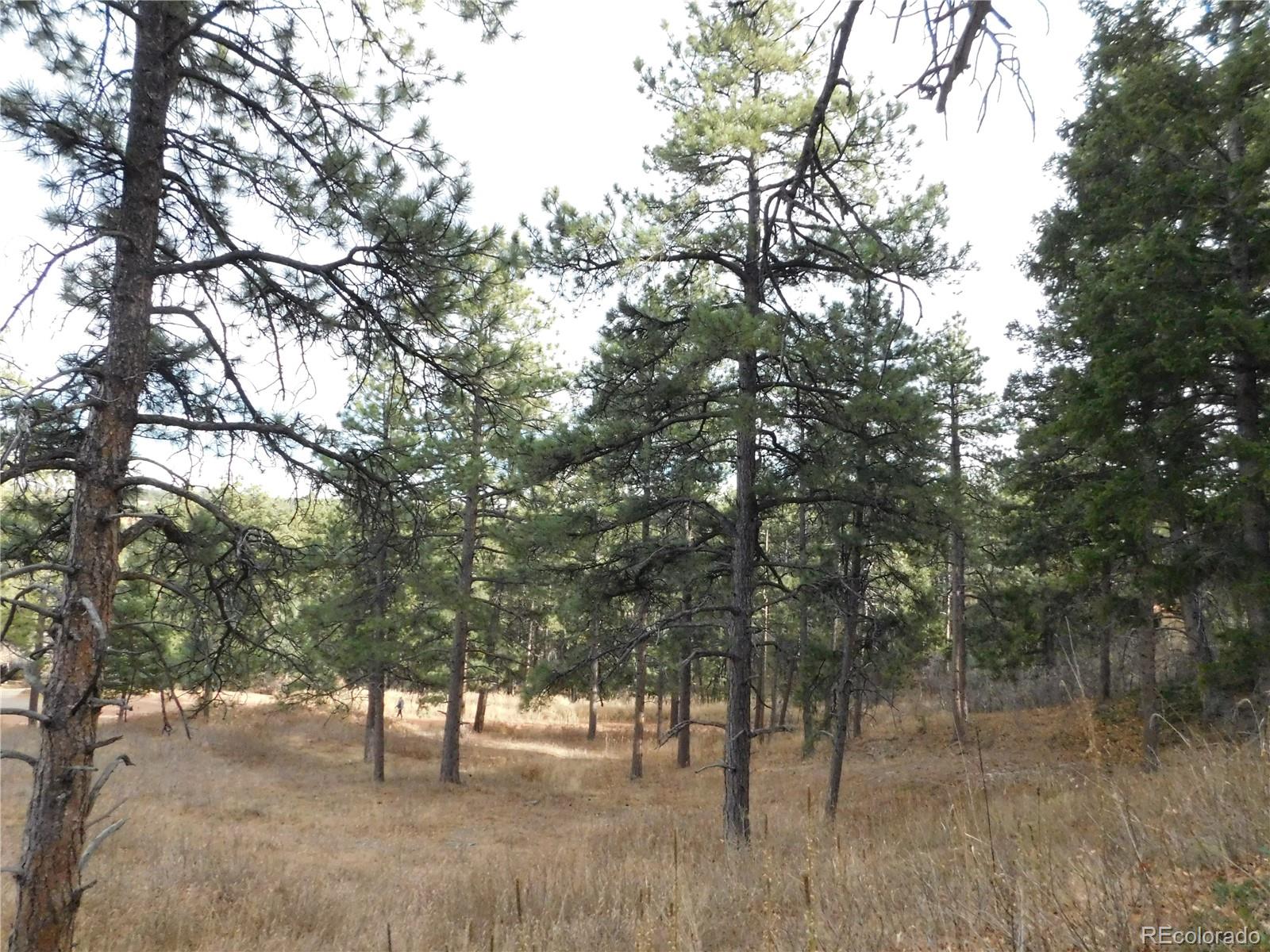 8055 Acoma Drive Larkspur CO 80118