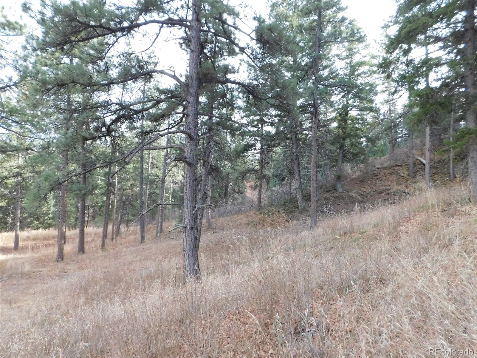 8055 Acoma Drive Larkspur CO 80118