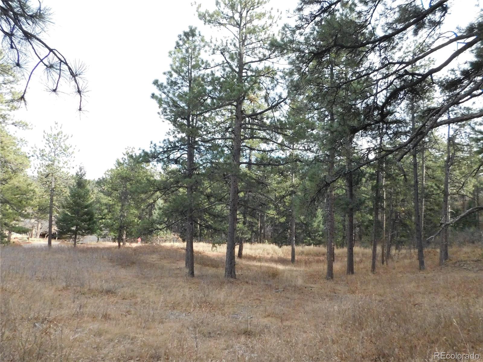 8055 Acoma Drive Larkspur CO 80118