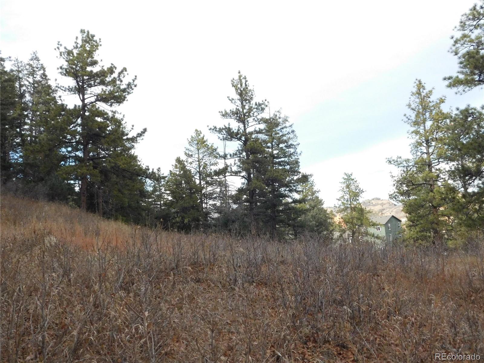 8055 Acoma Drive Larkspur CO 80118