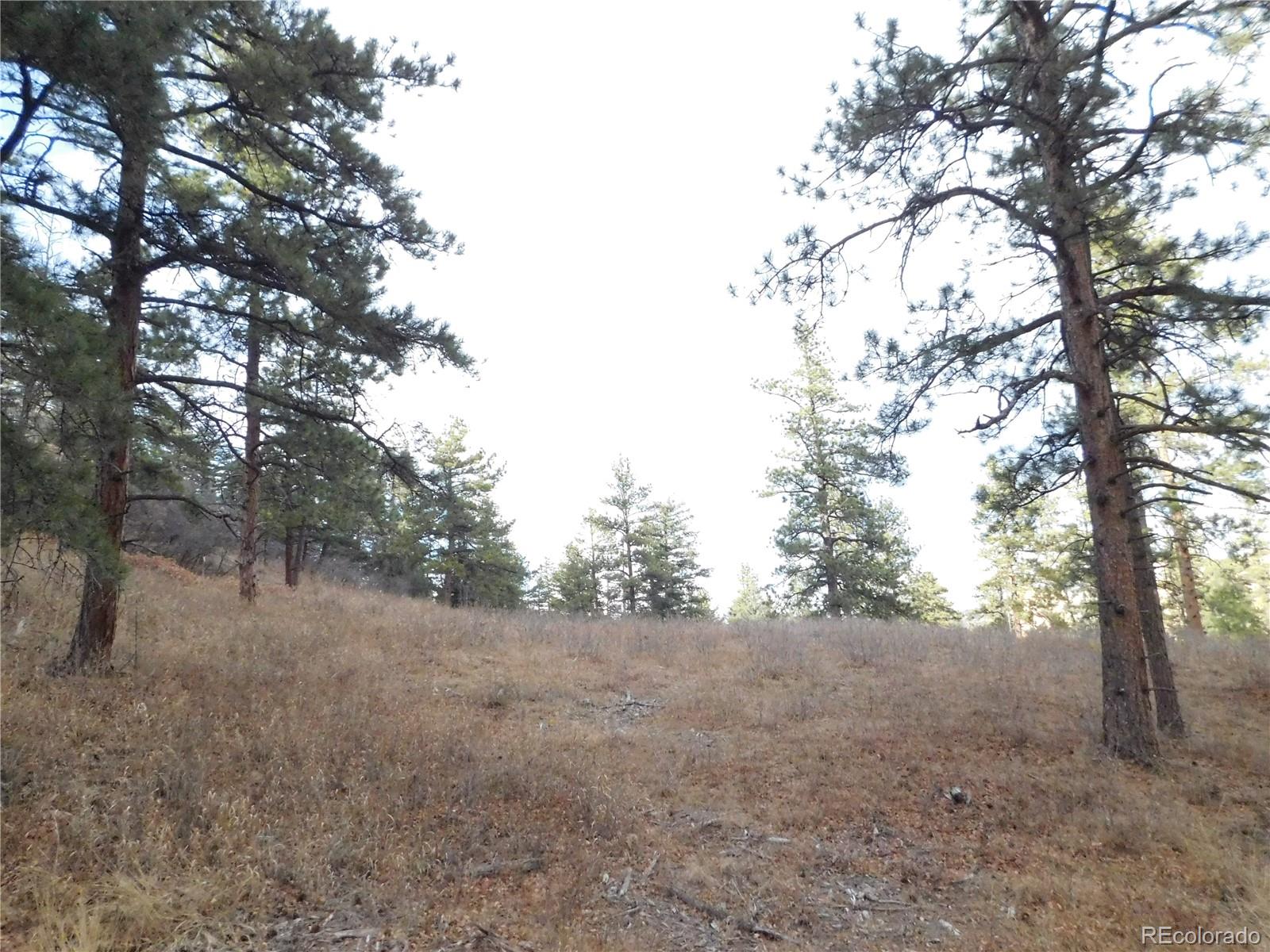 8055 Acoma Drive Larkspur CO 80118