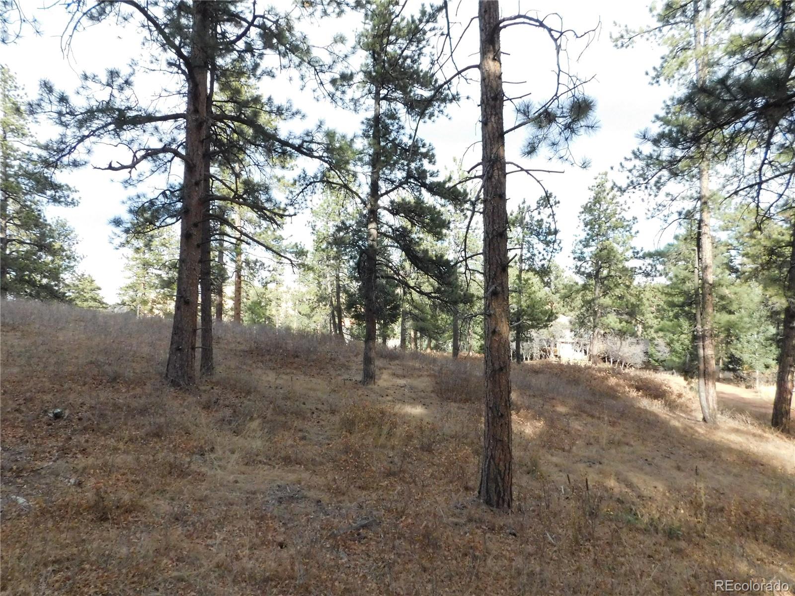 8055 Acoma Drive Larkspur CO 80118