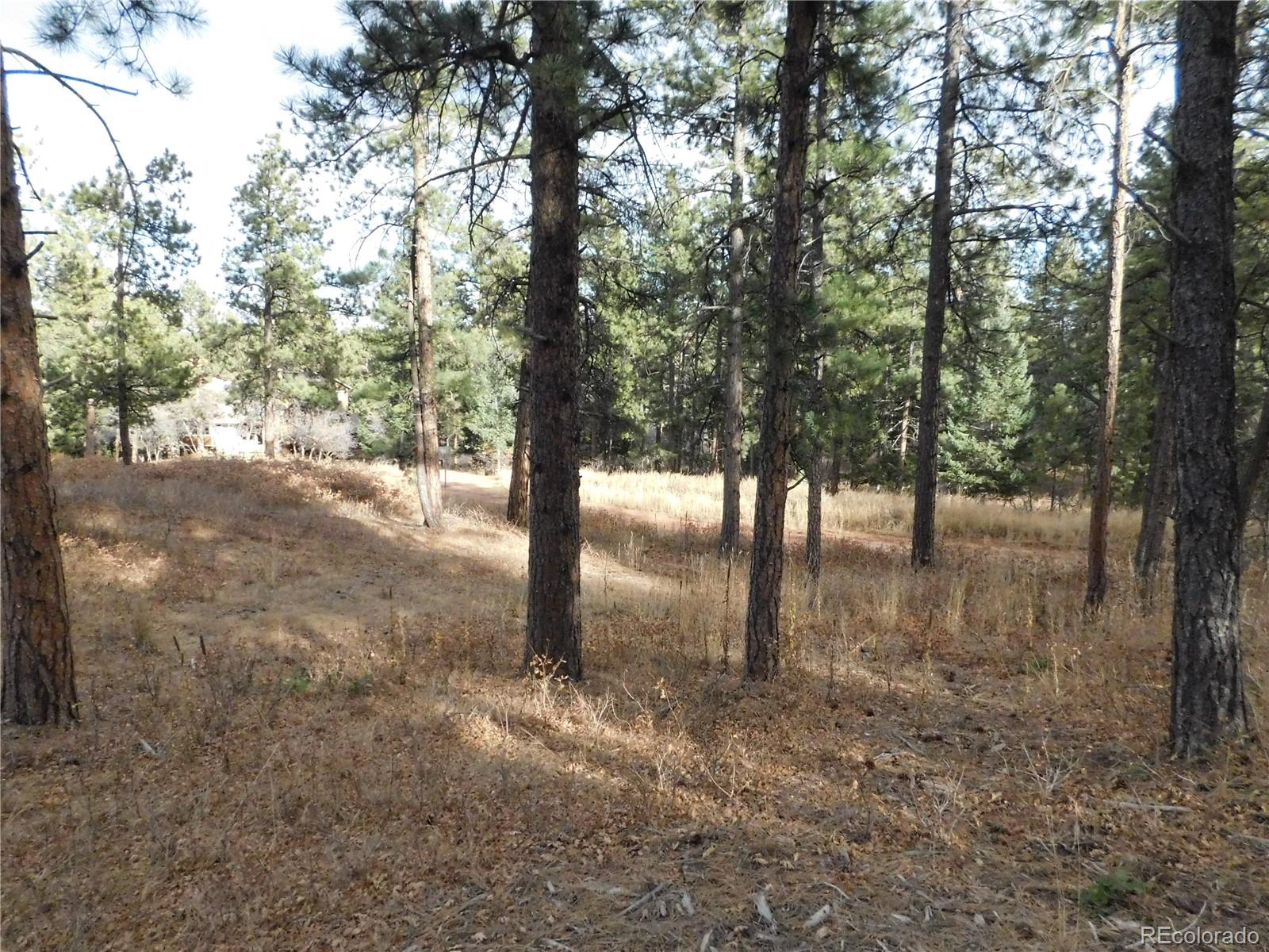8055 Acoma Drive Larkspur CO 80118