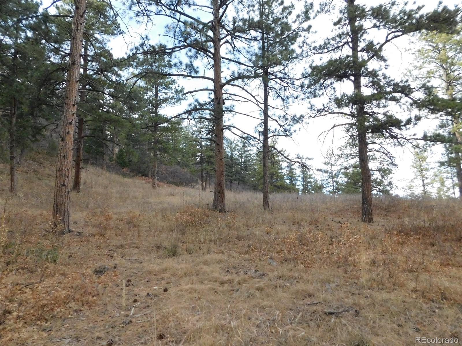 8055 Acoma Drive Larkspur CO 80118