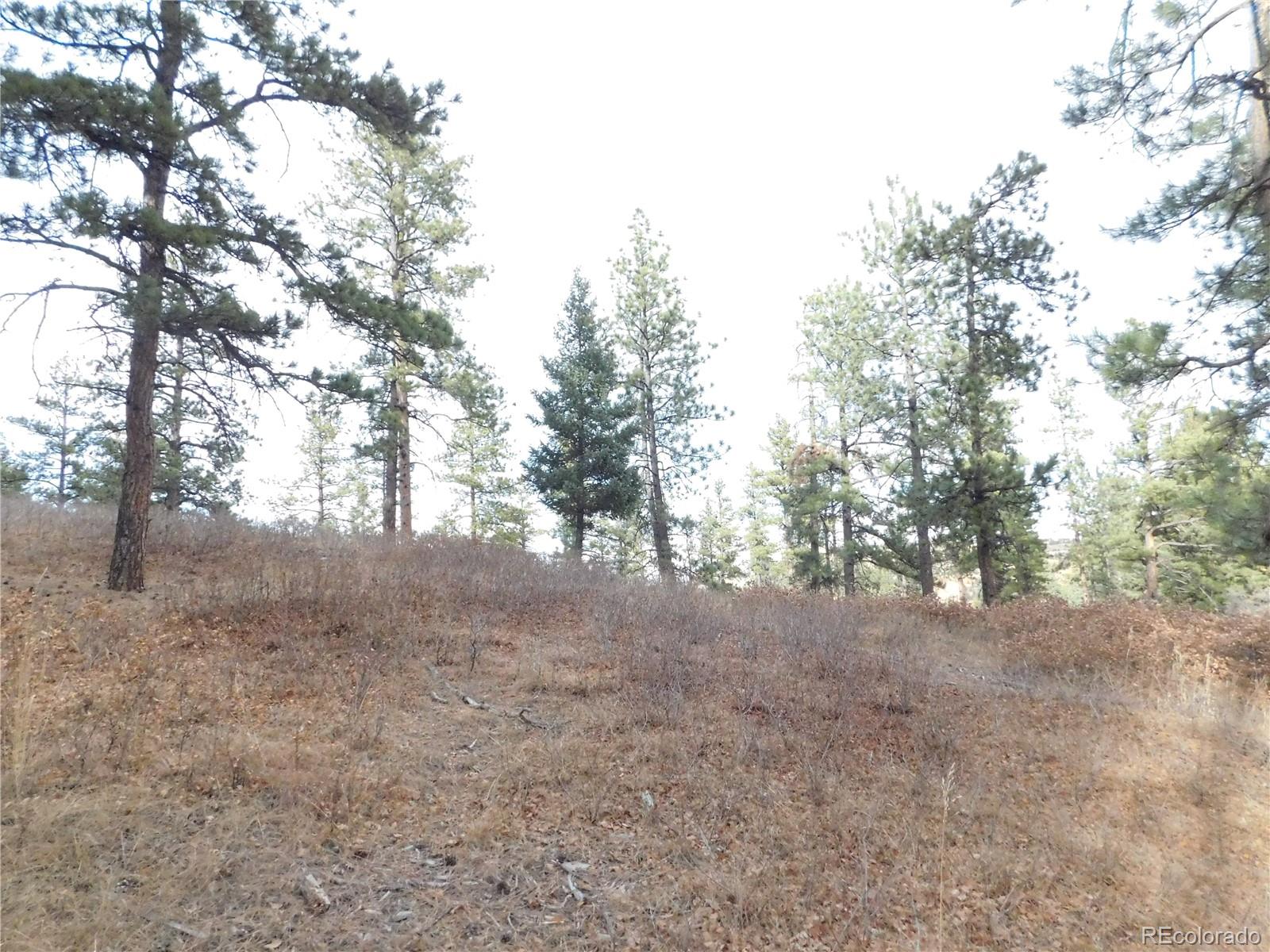 8055 Acoma Drive Larkspur CO 80118