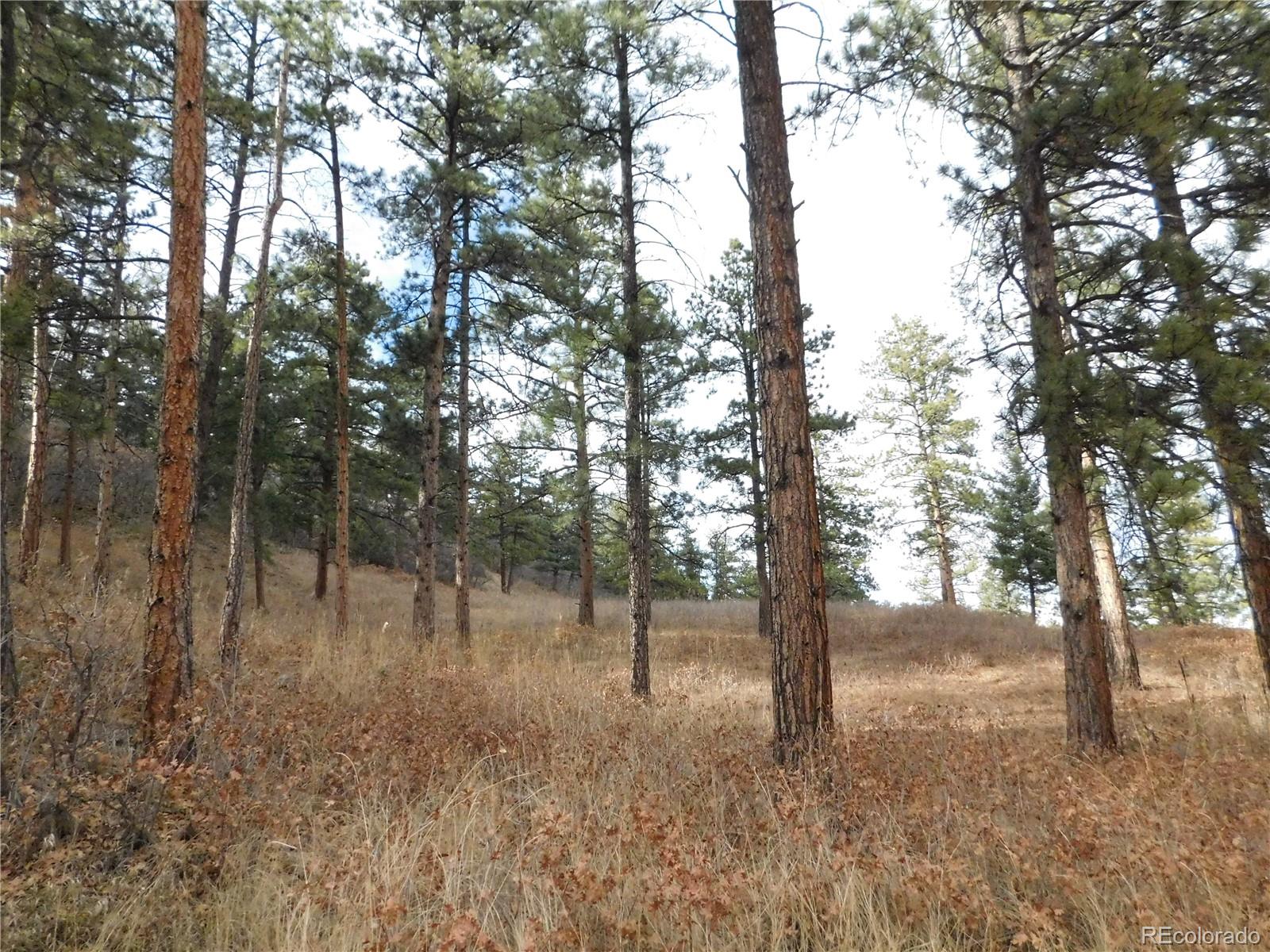 8055 Acoma Drive Larkspur CO 80118