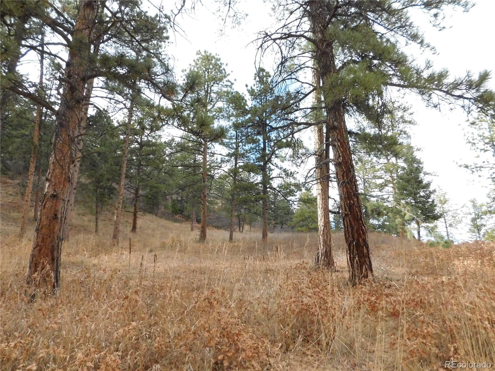 8055 Acoma Drive Larkspur CO 80118