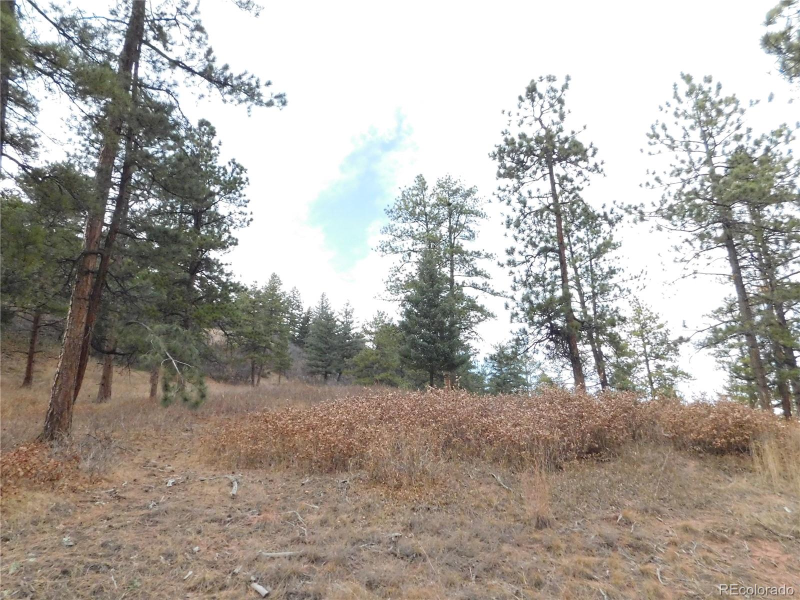 8055 Acoma Drive Larkspur CO 80118