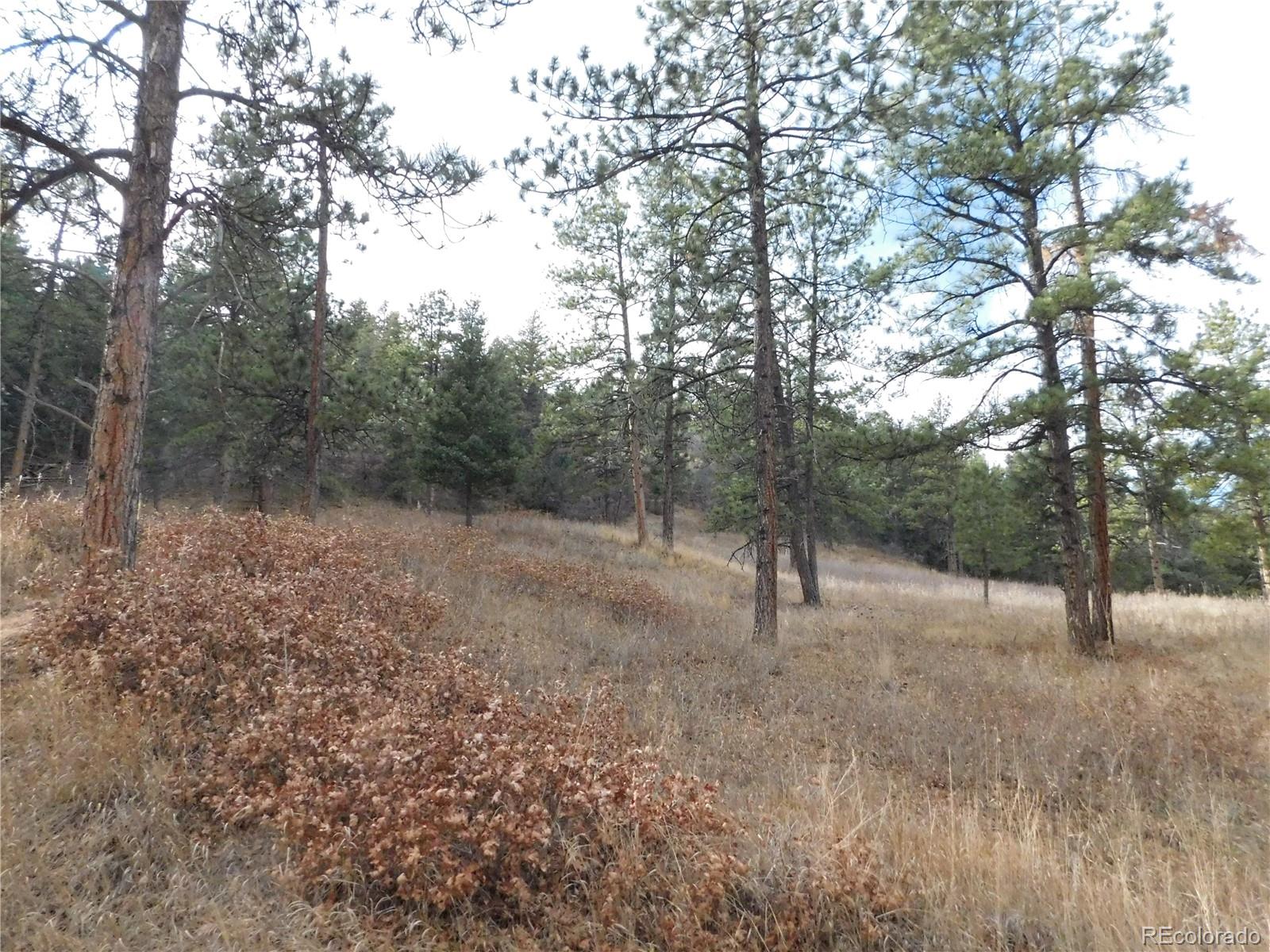 8055 Acoma Drive Larkspur CO 80118