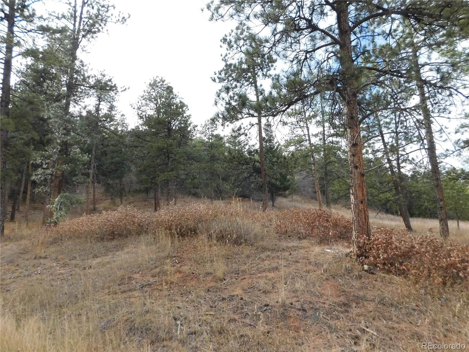 8055 Acoma Drive Larkspur CO 80118