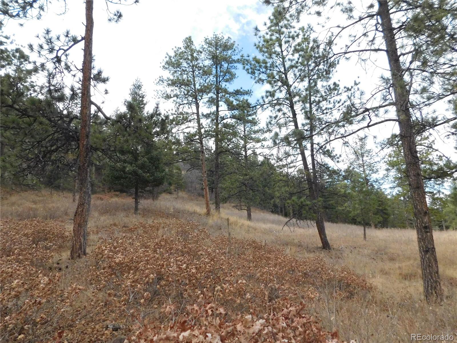 8055 Acoma Drive Larkspur CO 80118