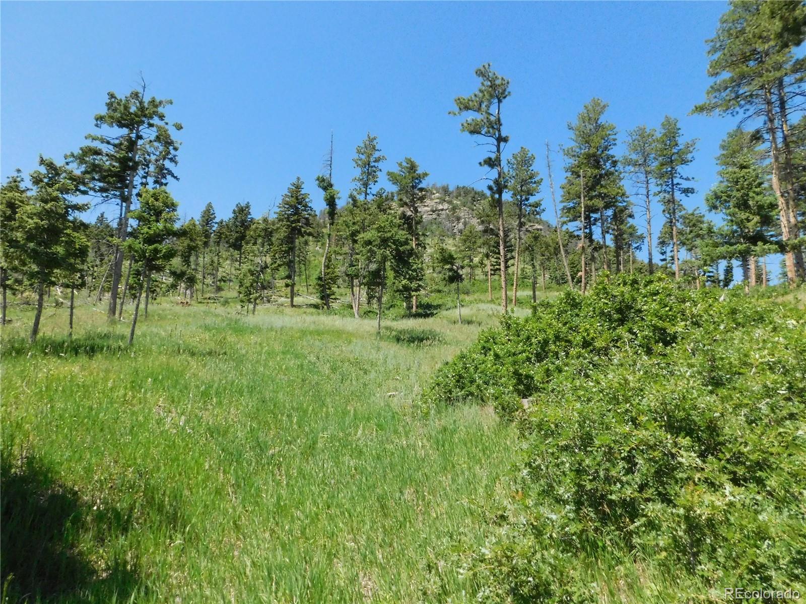 8276 Yuma Circle Larkspur CO 80118