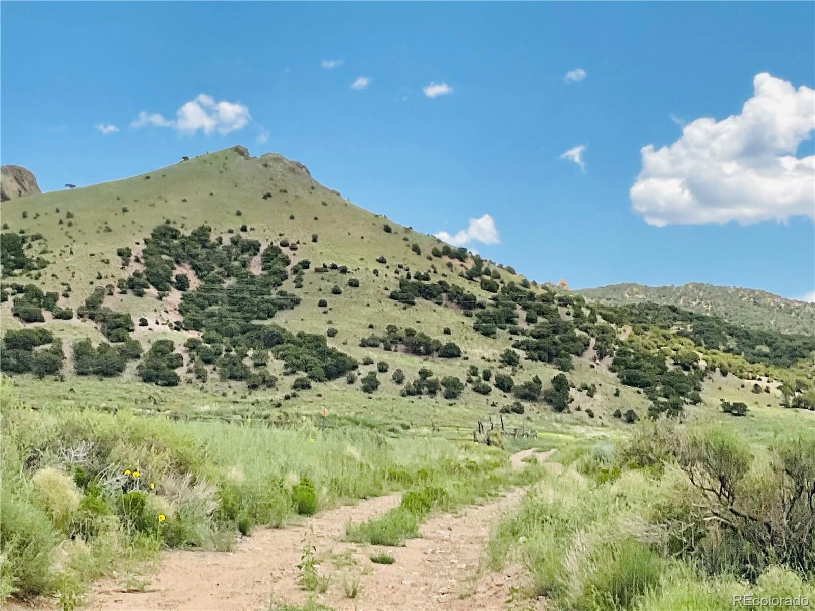 Lots 5 & 6 San Luis Valley Ranches Blanca CO 81123