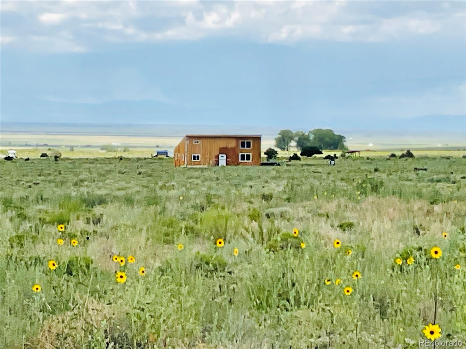 Lots 5 & 6 San Luis Valley Ranches Blanca CO 81123