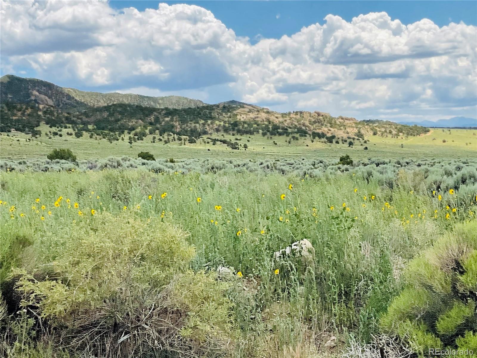 Lots 5 & 6 San Luis Valley Ranches Blanca CO 81123