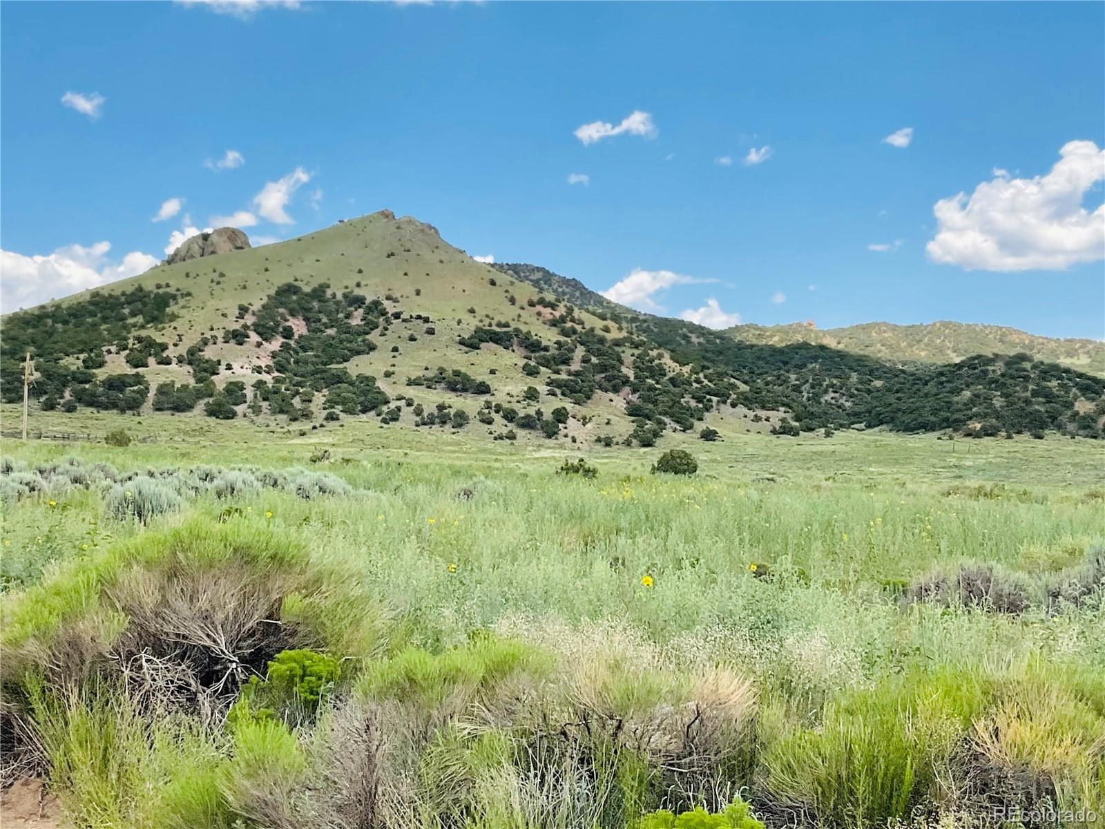 Lots 5 & 6 San Luis Valley Ranches Blanca CO 81123