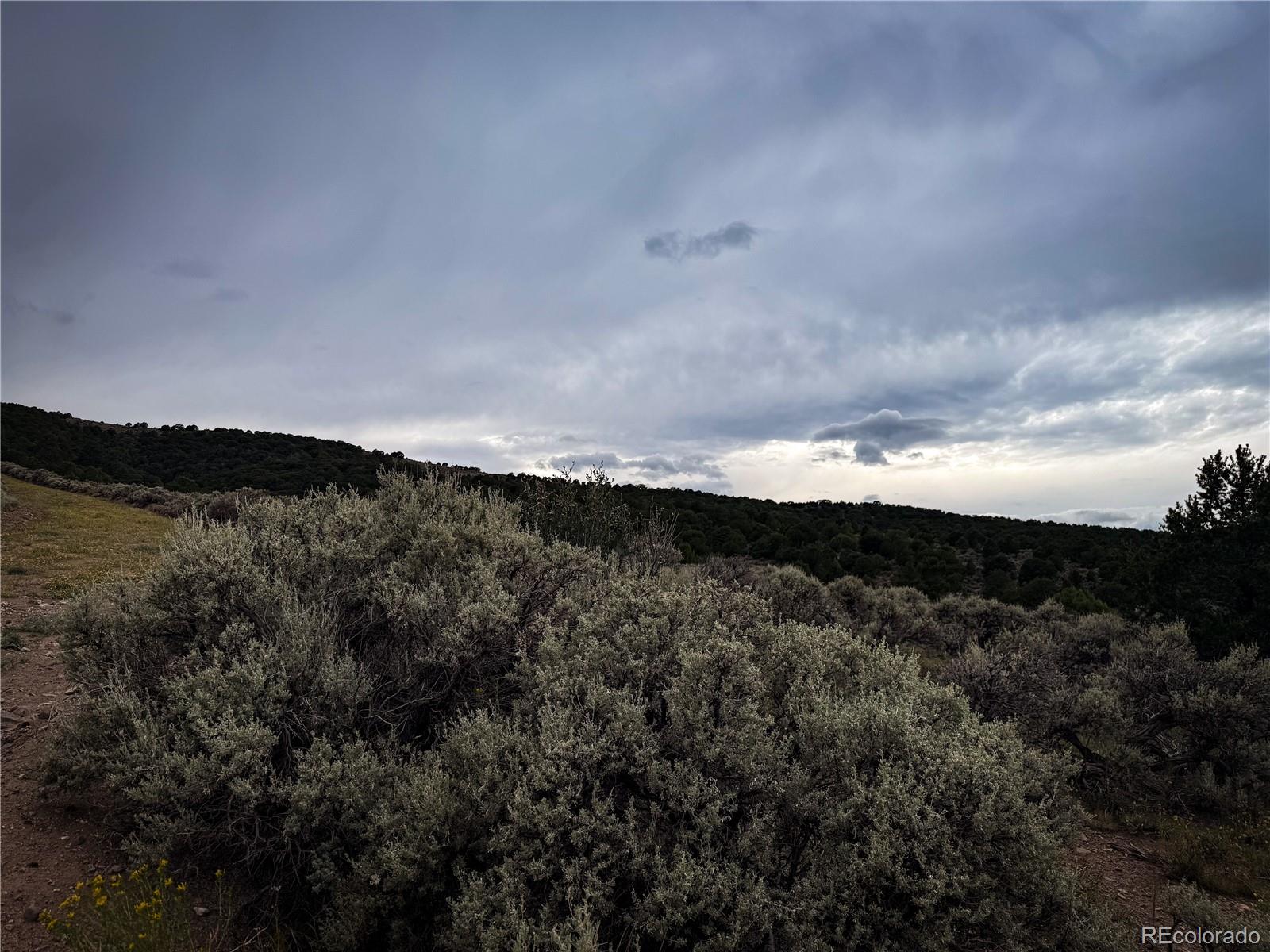 00 Rodriguez Road Fort Garland CO 81133