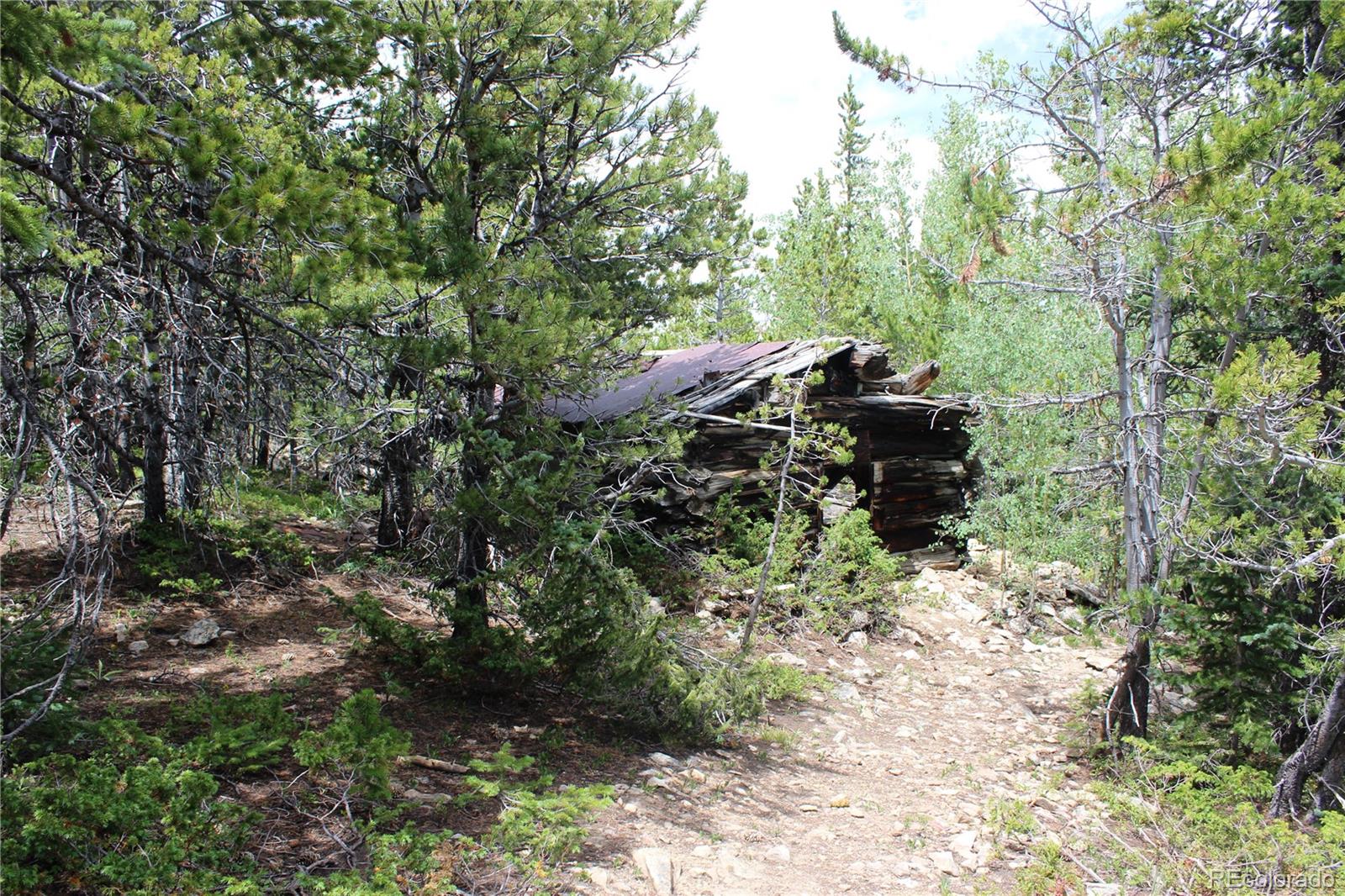 00 Fs 411.1 Black Hawk CO 80422