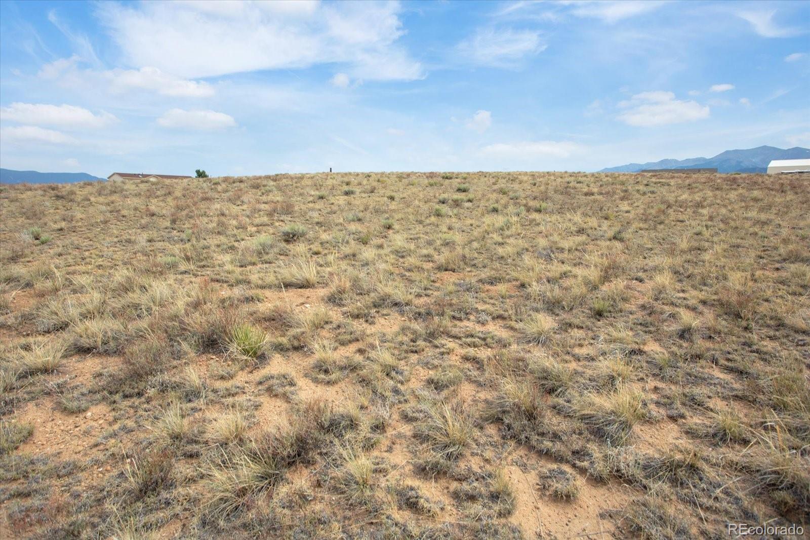 13944 Meadow Lane Buena Vista CO 81211