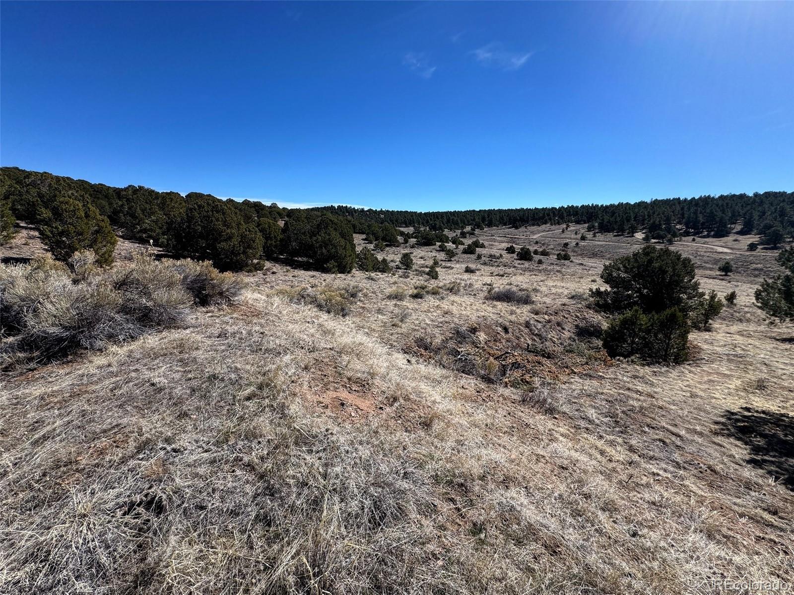514 Kiowa Road Westcliffe CO 81252