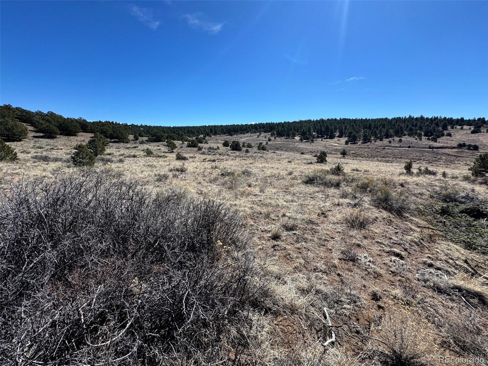 514 Kiowa Road Westcliffe CO 81252