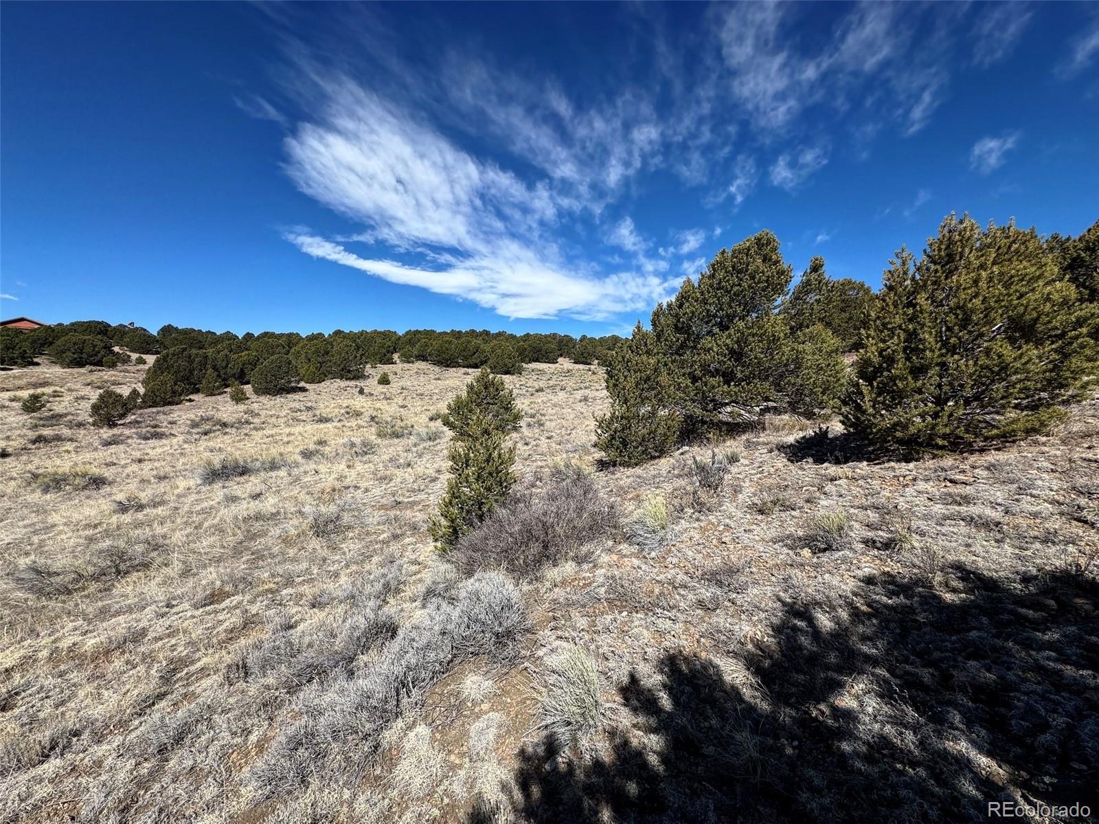 514 Kiowa Road Westcliffe CO 81252