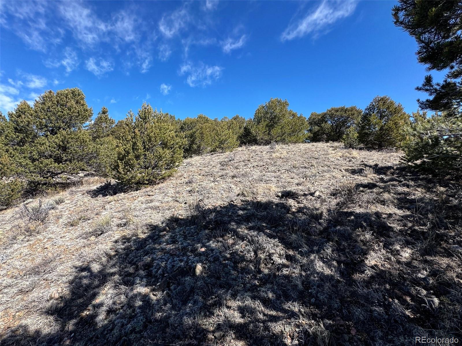 514 Kiowa Road Westcliffe CO 81252