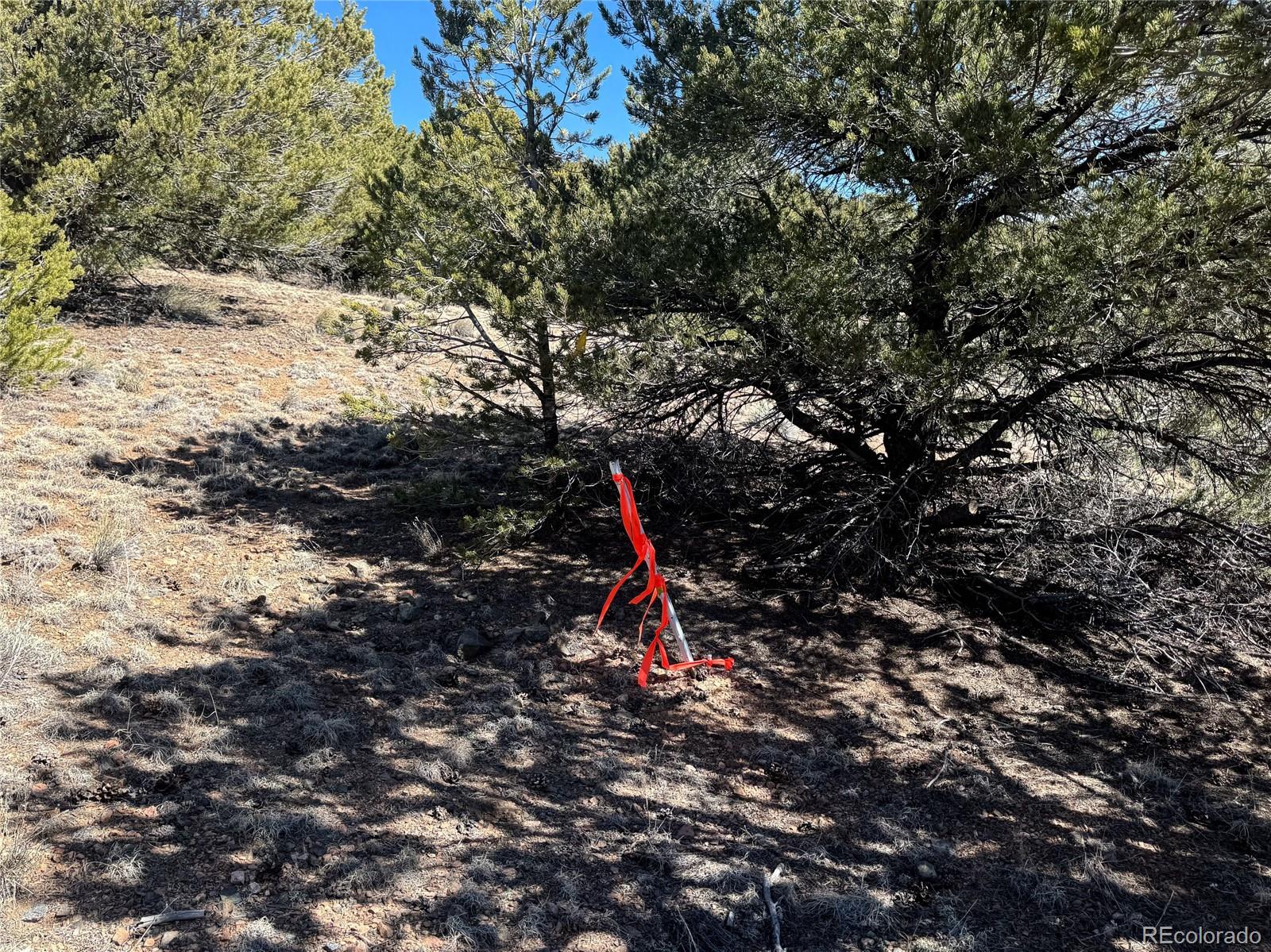 514 Kiowa Road Westcliffe CO 81252