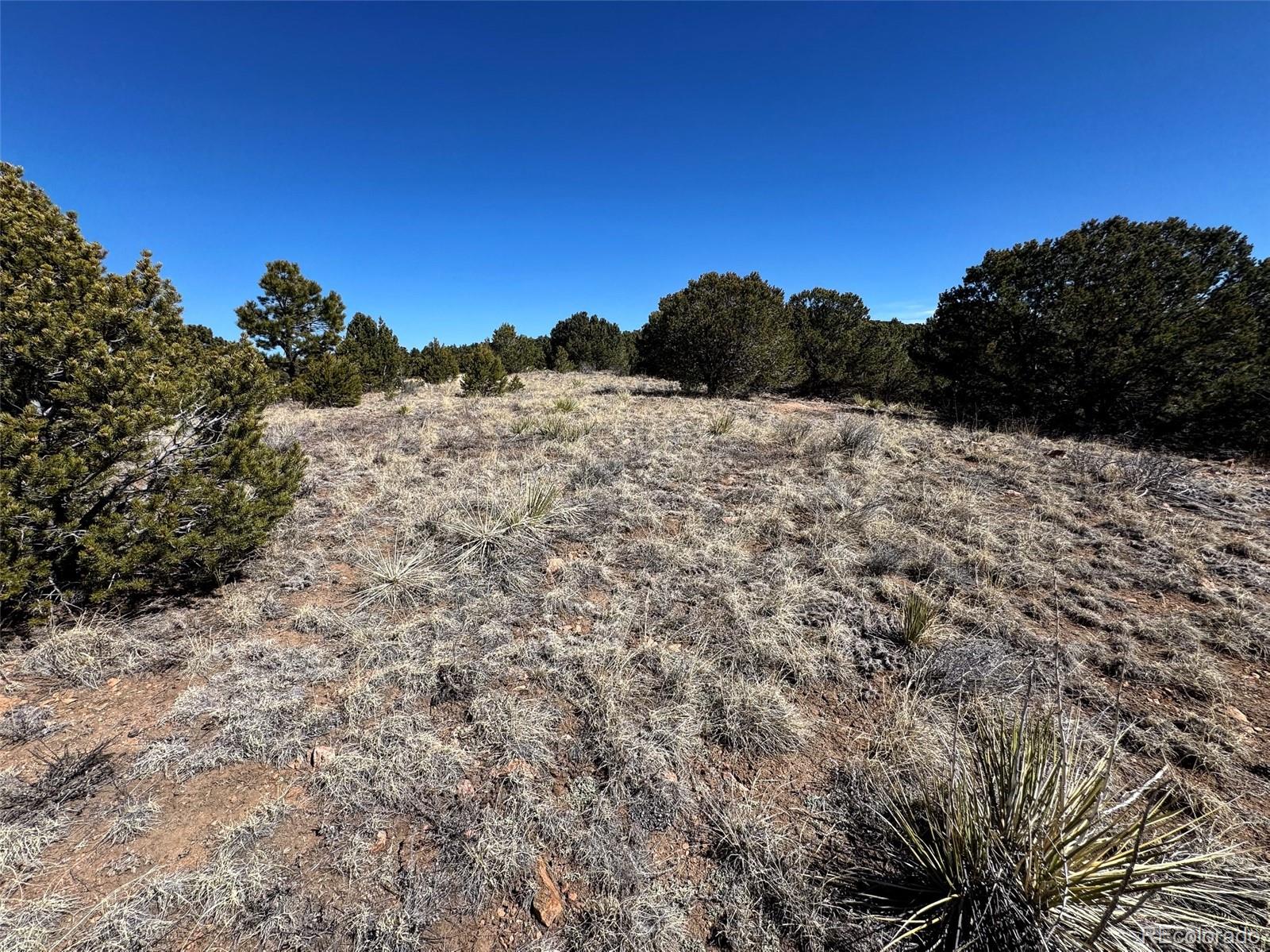 514 Kiowa Road Westcliffe CO 81252