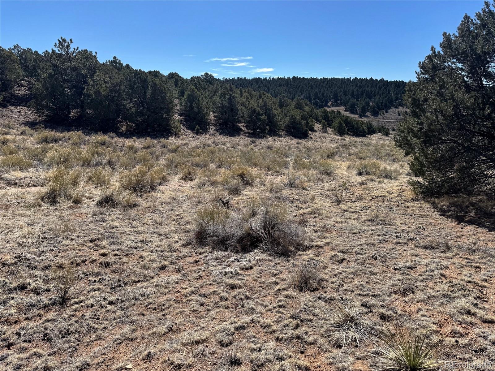 514 Kiowa Road Westcliffe CO 81252