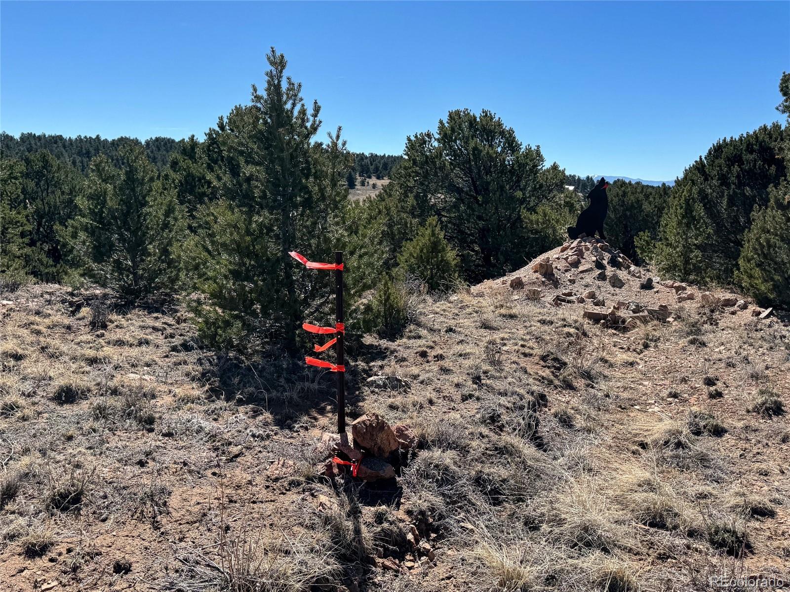 514 Kiowa Road Westcliffe CO 81252