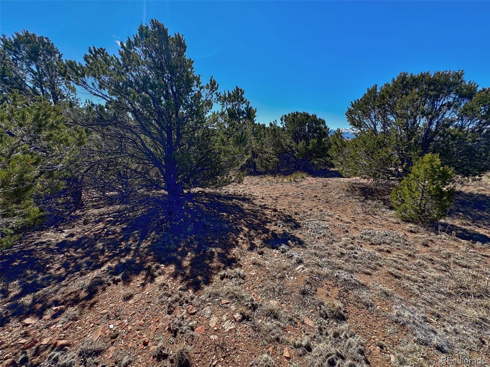 514 Kiowa Road Westcliffe CO 81252