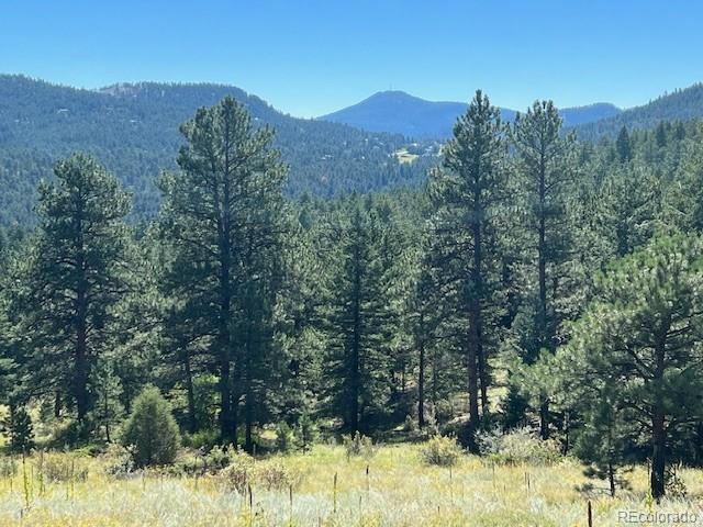 Tbd Barney Gulch Road Conifer CO 80433