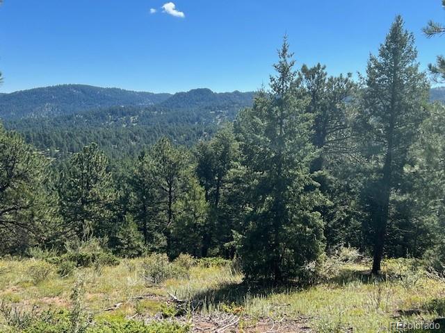 Tbd Barney Gulch Road Conifer CO 80433