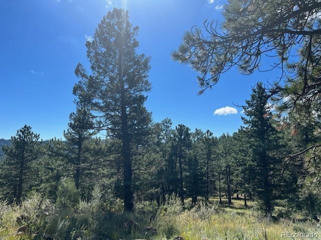 Tbd Barney Gulch Road Conifer CO 80433