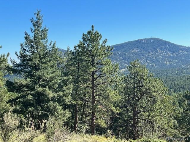 Tbd Barney Gulch Road Conifer CO 80433