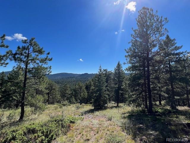 Tbd Barney Gulch Road Conifer CO 80433