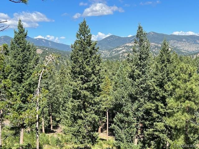 Tbd Barney Gulch Road Conifer CO 80433
