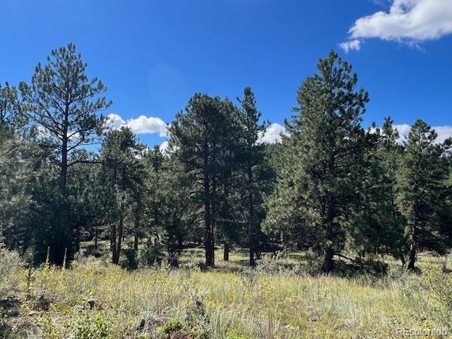 Tbd Barney Gulch Road Conifer CO 80433
