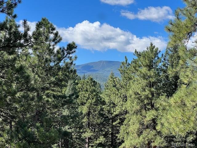 Tbd Barney Gulch Road Conifer CO 80433
