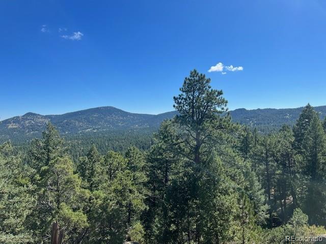 Tbd Barney Gulch Road Conifer CO 80433