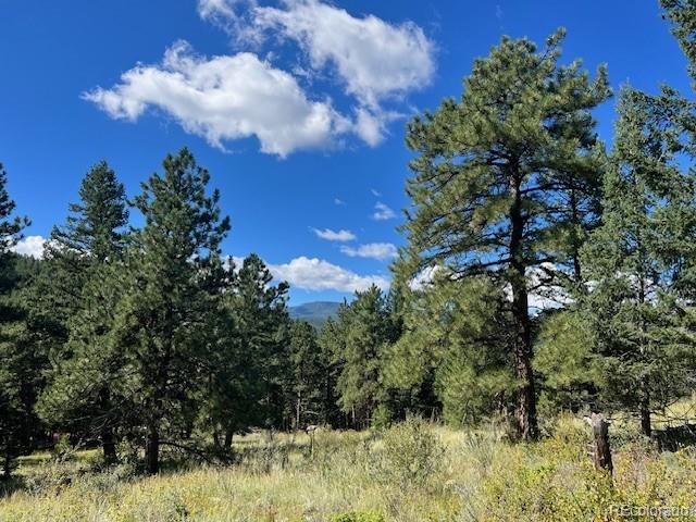 Tbd Barney Gulch Road Conifer CO 80433