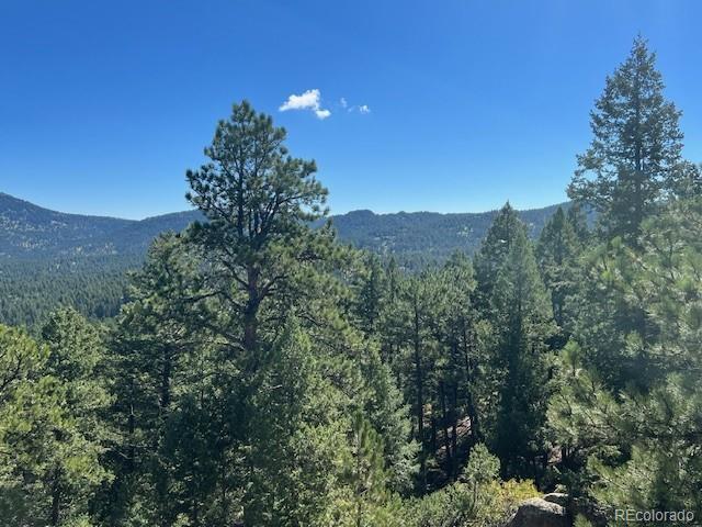 Tbd Barney Gulch Road Conifer CO 80433