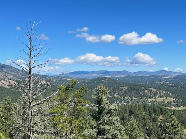 Tbd Barney Gulch Road Conifer CO 80433