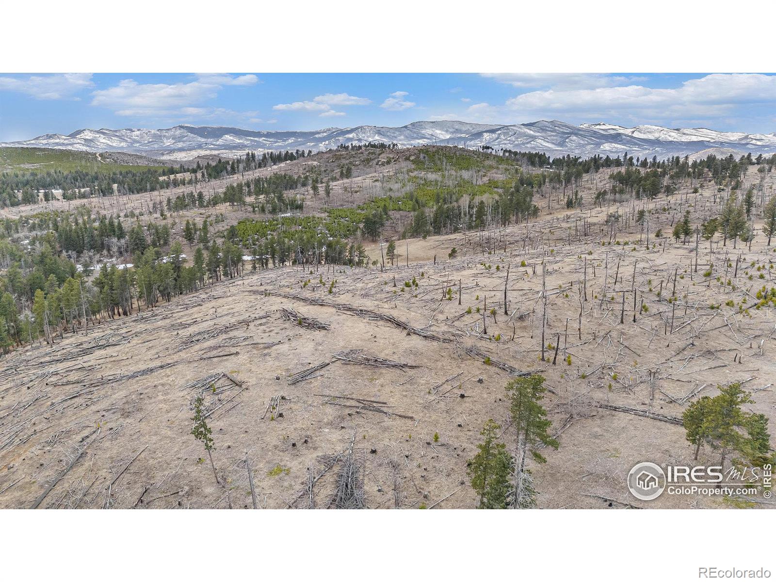 0 Tip Top Road Bellvue CO 80512