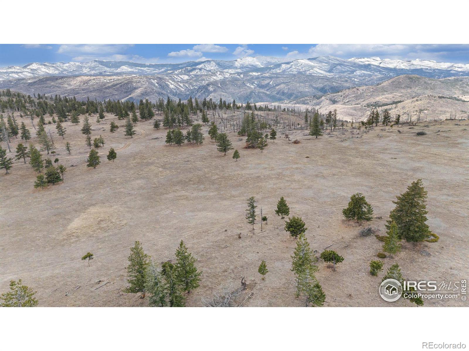 0 Tip Top Road Bellvue CO 80512
