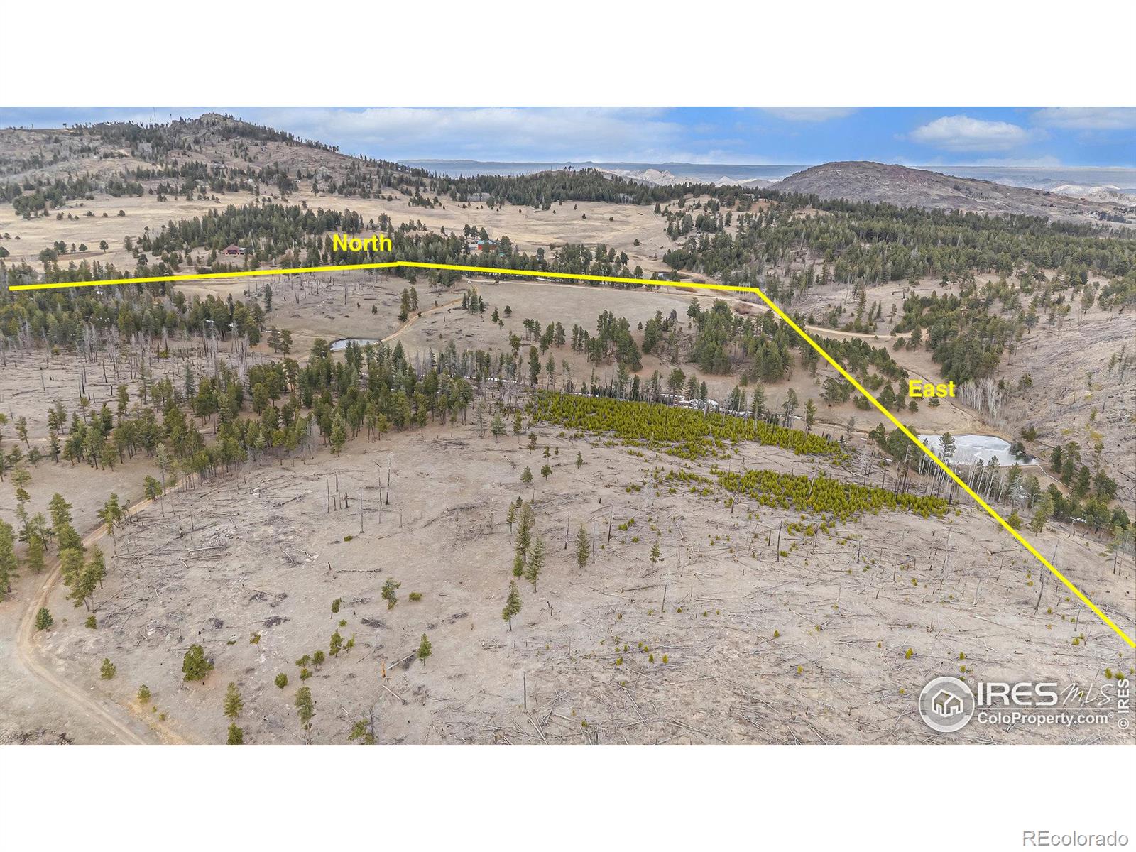 0 Tip Top Road Bellvue CO 80512